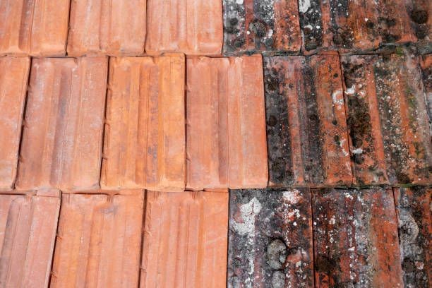 Why Roof Cleaning Is Essential for Your Home